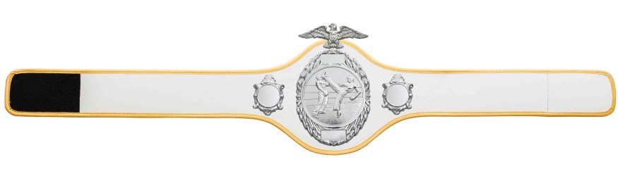 KICKBOXING CHAMPIONSHIP BELT-PRO288/S/KBOS - 10 COLOURS